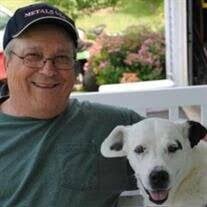 Dennis W. Scheel Obituary