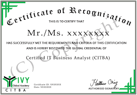 Certified It Business Analyst Citba