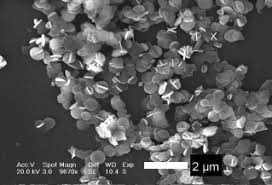She was a member of old mt. Facile Synthesis And Photoluminescence Of Europium Ion Doped Laf3 Nanodisks Zhu 2007 European Journal Of Inorganic Chemistry Wiley Online Library