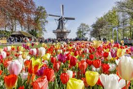 Lihat ulasan dan foto tentang tempat menarik & tengara di amsterdam, belanda di tripadvisor. Ucuztravels Explore The World