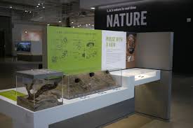 La Nhm Nature Lab On Risd Portfolios History Exhibition Nature Museum Natural Science Museum