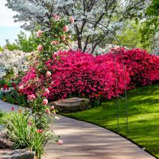 Garten selbst gestalten ist gar nicht so kompliziert! Relaxdays 4 Stuck Rankenbogen Garten Kaufland De