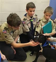 You can choose whether to attend in person or virtually. Scout Programs Wisconsin Humane Society
