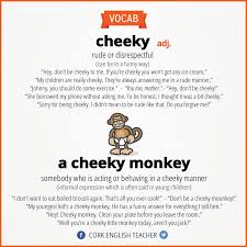 Shop our cheeky panties now. Cheeky Cheeky Monkey English Vocab Teaching Vocabulary English Idioms