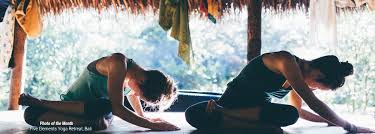 Yoga Instructor Jobs Worldwide Wellness Opportunities Yoga Trade Yoga Jobs Yoga Instructors Yoga