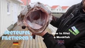 8 Seeteufel Filetieren So Gehts English German Subtitles Fishing Angeln Norwegen Monkfish Youtube