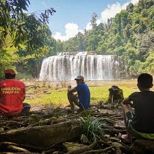 While there's a number of medications available that can treat this condition, you. Indigenous People Protect More Of Earth S Biodiversity Than Countries Do Vox