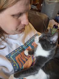 Lost small gray cat in Benson area