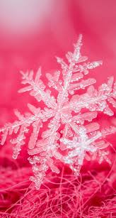 If you're looking for the best snowflakes wallpaper then wallpapertag is the place to be. Pink Snowflake Snowflake Pictures Snowflake Photography Winter Wallpaper
