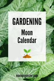 Gardening Lunar Calendar Planting Calendar Moon Calendar Plant Signs
