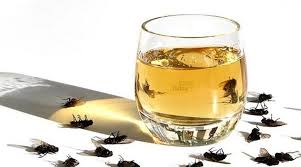 Le vinaigre blanc est un allié de taille pour faire fuir les mouches et les dégoûter d'entrer. Une Ancienne Astuce Qui Elimine Les Mouches Et Les Cafards De La Maison