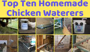 Made in australia, this feeder/drinker combo is very easy to install and use, as you can fix it on a solid wall. Top Diy Chicken Waterers Backyard Chickens Learn How To Raise Chickens