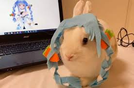 Usada Pekoraposting - Pekora face reveal peko~ | Facebook