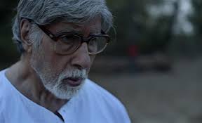 The Umesh Chronicles (2024)