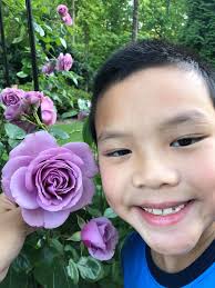 Spring in Georgia...they smell heavenly!!! These are Jonquils.