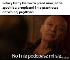 Polacy na drogach 😆