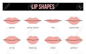 口の形のすべての種類。女性の唇を設定します。のイラスト素材・ベクター Image 73693203