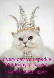 We did not find results for: It S All About Being The Princess Happy Birthday Quotes Happy Birthday Meme Funny Birthday Meme