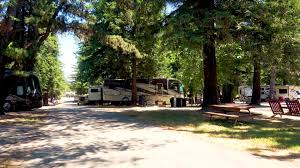 Conveniently located restaurants include comet ii drive in & restaurant, silver moon cafe, and chico's tortas y pinas lokas. Petaluma California Campground San Francisco North Petaluma Koa