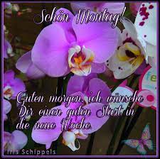 . dem vor einer guten woche das notwendige neue hilfspaket vereinbart wurde, braucht griechenland endlich wachstumsinitiativen, um den wirtschaftsaufschwung anzukurbeln, um jobs zu schaffen, um die nachfrage zu stärken und um. Schon Montag Guten Morgen Ich Wunsche Dir Einen Guten Start In Die Neue Woche Schoner Montag Guten Morgen Guten Morgen Gruss