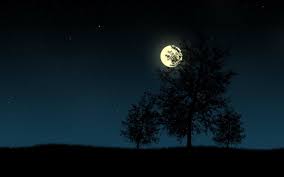 Pin By Shankargs On Bilder In 2020 Nature Wallpaper Dark Moon Beautiful Nature