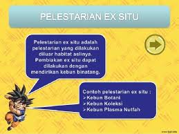We did not find results for: Upaya Pelestarian Keanekaragaman Hayati Adalah Upayaupaya Untuk Menjaga
