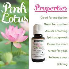 Pink Lotus Essential Oil Properties Essential Oils For Skin Essential Oils Properties Essential Oils
