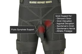 Image result for Groin Disruption