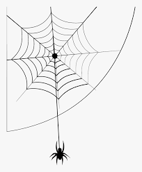 spider web cartoon png transparent png transparent png image pngitem spider web cartoon png transparent png