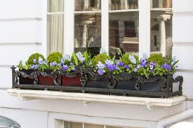 They can work really well on walls close to the house (maybe in an open porch) or positioned on approaching walled paths. Window Box Plant Ideas Pot Hardy Plants To Take Your Windows Through From Winter To Spring With A Colourful Garden Homes And Property Evening Standard