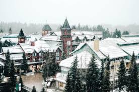 For the 18th annual teddy bear picnic. 8 Things To Do In Whistler Bc With Kids During Winter