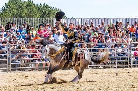 Profile for Ezra Yoder