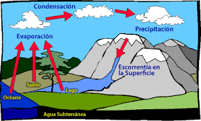 Evaporación, condensación, precipitación e infiltración. Definicion De Ciclo Del Agua Concepto En Definicion Abc