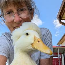 A text from a HERO....my brother, Dr. Daniel Coss,