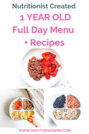 Toddler's gum can chew food, so no need of completely mashing food dear. 1 Year Old Meal Plan Nutritionist Approved Creative Nourish Baby Food Recipes 1 Year Old Meals Meal Planning