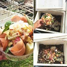 Untuk asas kompos, boleh rujuk kompos sebagai baja 3. Cuma Guna Sisa Dapur Lelaki Ini Kongsi Cara Paling Mudah Mulakan Teknik Kompos Untuk Tanaman Organik Mingguan Wanita