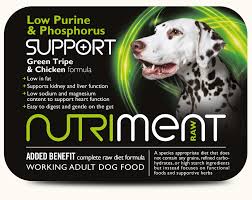Amazon's choice for low phosphorus cat food. Nutriment Dog Low Purine Phosphorus Support 1 4kg Superpet Warehouse
