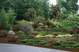 This landscape idea catches the eye with minimum effort, ensuring a natural look. Pin On Steep Scapes