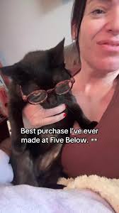 5 Below Pet Glasses