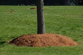 Pin On Asplundh Free Wood Chips