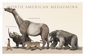 Pin By Dr Steve Hunters On Strange Creatures Prehistoric Animals Ancient Animals Extinct Animals