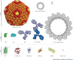 Valentine's day coloring pages from 45. Fluorescence Nanoscopy In Cell Biology Nature Reviews Molecular Cell Biology