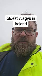 Have you Wagyu as old #fyp #wagyu #finnowfarm #conor #hennustall