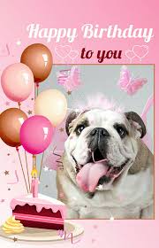 Check spelling or type a new query. Happy Birthday English Bulldog Bulldog Happy Birthday Happy Birthday Messages Happy Birthday To You