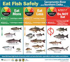 That number of servings also applies to women of childbearing age — 16 to 49 years — as well as pregnant women. Eat Fish Safely First 5 Yolo
