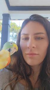 When your parrot steals your apple 🍎 and your Yorkie demands a cut. Just  trying to survive the snack time shakedown! #PirateParrot #YorkieMafia