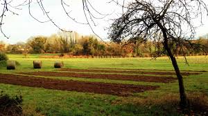 Ma région est quasiment dépourvus de ce genre de service, pas comme en idf, mais comment faire? Microferme Bilan Chiffre De Mon Premier Trimestre Permaculture Pour Tous