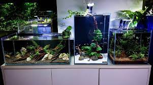 Meja aquarium berbentuk oval ini modelnya agak ramping. Meja Aquarium Unik Blog Qhomemart