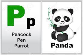 From pears to papaya, there are more fruits that begin with the letter p than you might expect. Alphabet Letter P With Clip Art And Few Similar Words Starting With The Letter Printable Graphic For Preschool Kindergarten Kids Royalty Free Cliparts Vectors And Stock Illustration Image 38526281