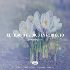 El Tiempo De Dios Es Perfecto Versiculos Biblicos Frases Cristianas Mensajes Biblicos